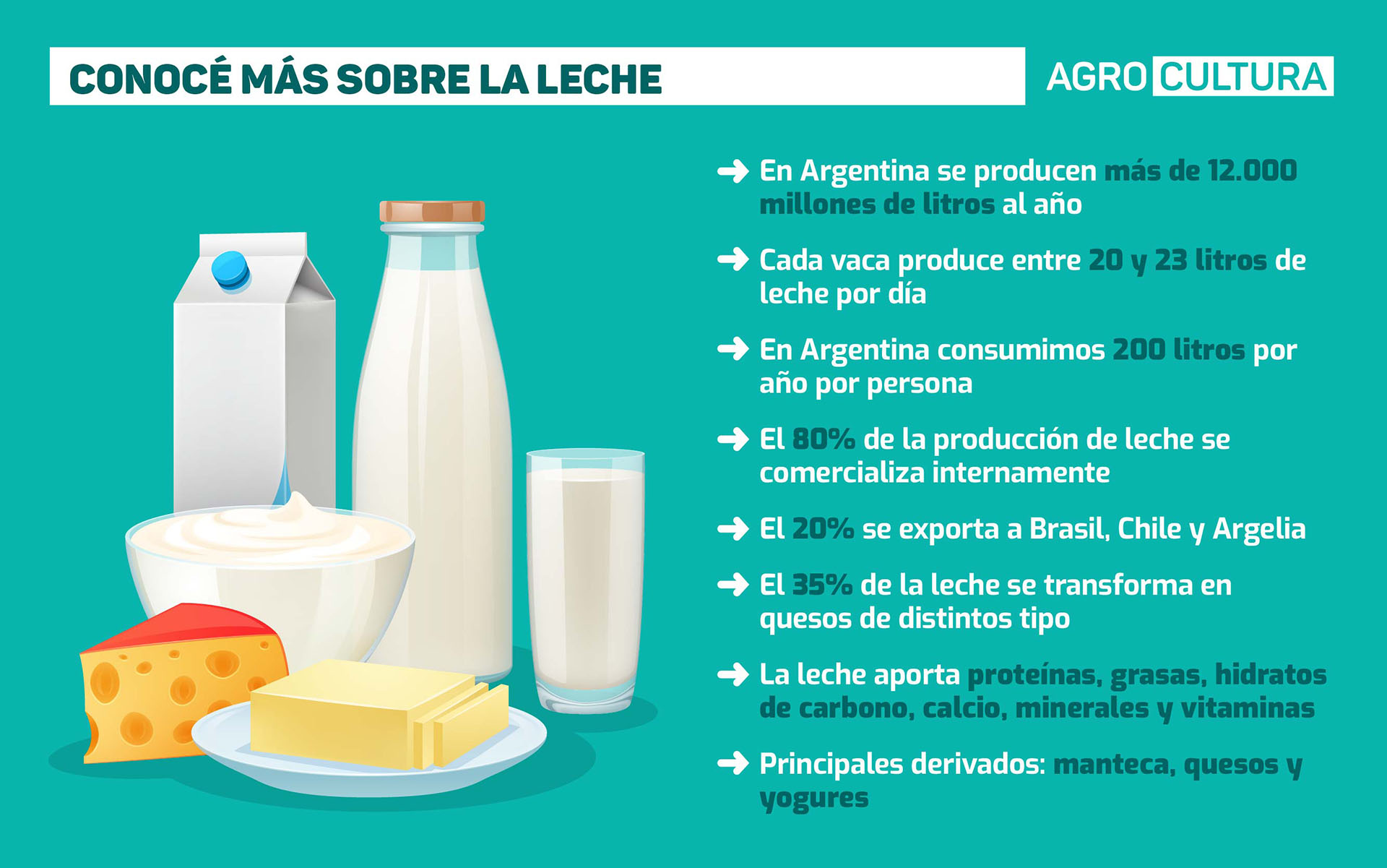 dia mundial de la leche agrocultura el campo en tu vida infografía