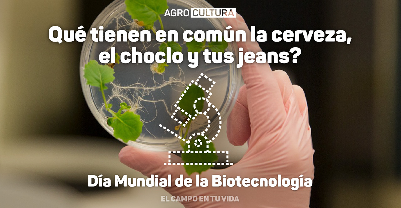 dia mundial de la biotecnología agrocultura el campo en tu vida