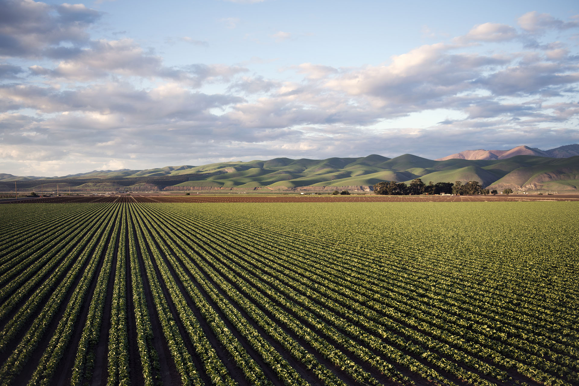 el campo en tu vida agrocultura ciencia y agricultura una alianza clave para La Paz y el desarrollo