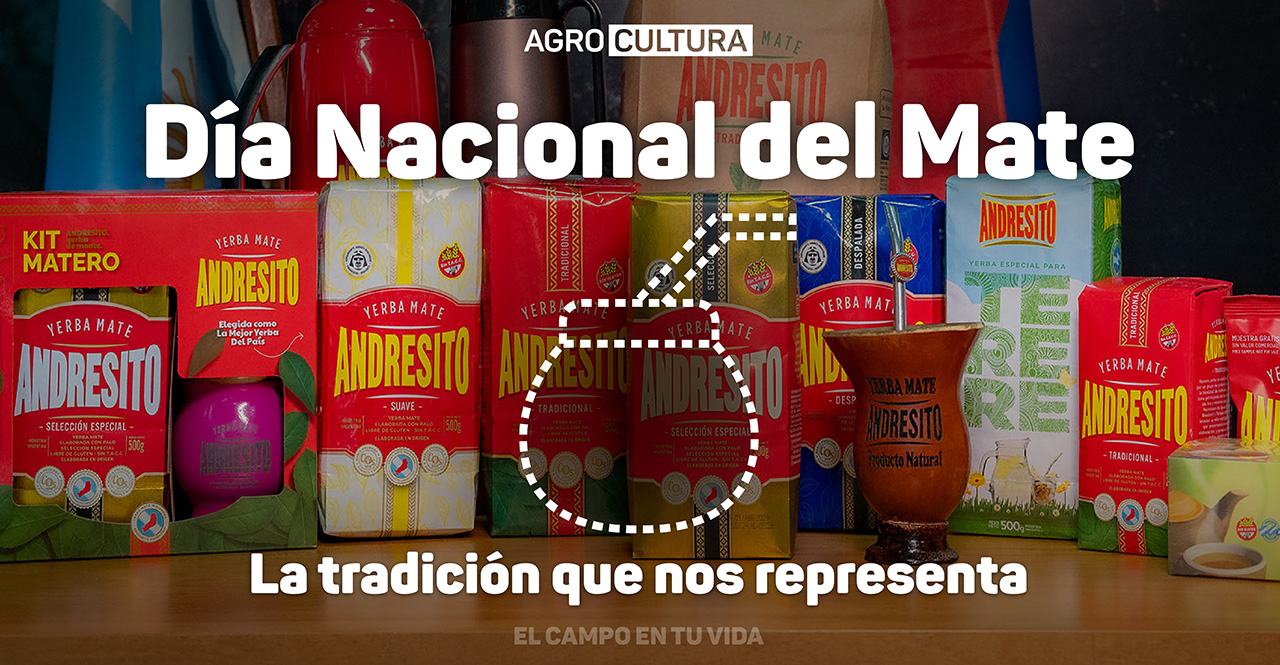 el campo en tu vida agrocultura día de la yerba mate de la costumbre a la cultura que nos identifica