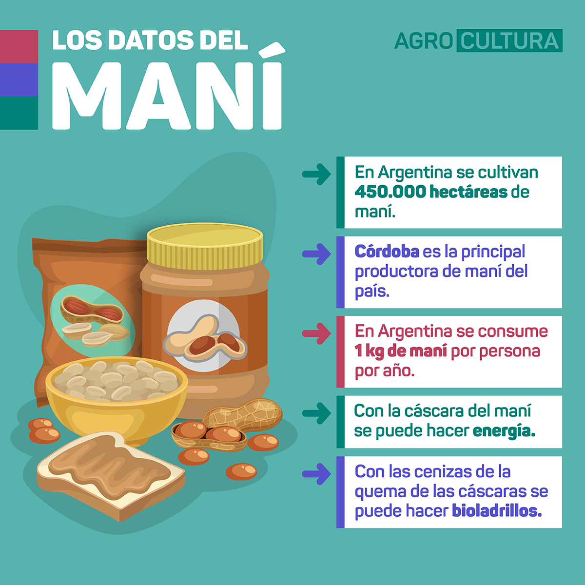 mani en argentina: de las picadas a la producción de energía y bioladrillos el campo en tu vida agrocultura