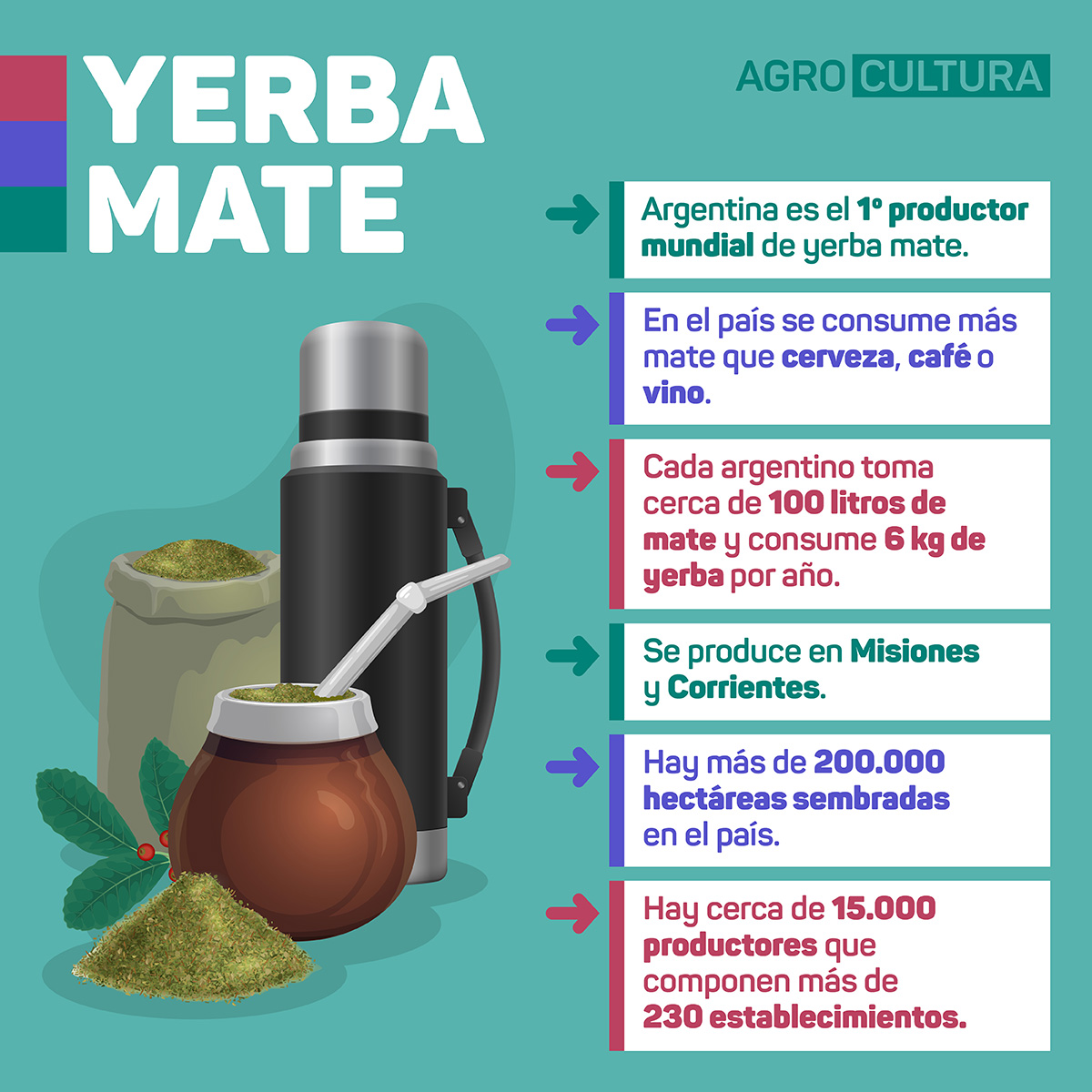 el campo en tu vida agrocultura día de la yerba mate de la costumbre a la cultura que nos identifica infografia yerba mate