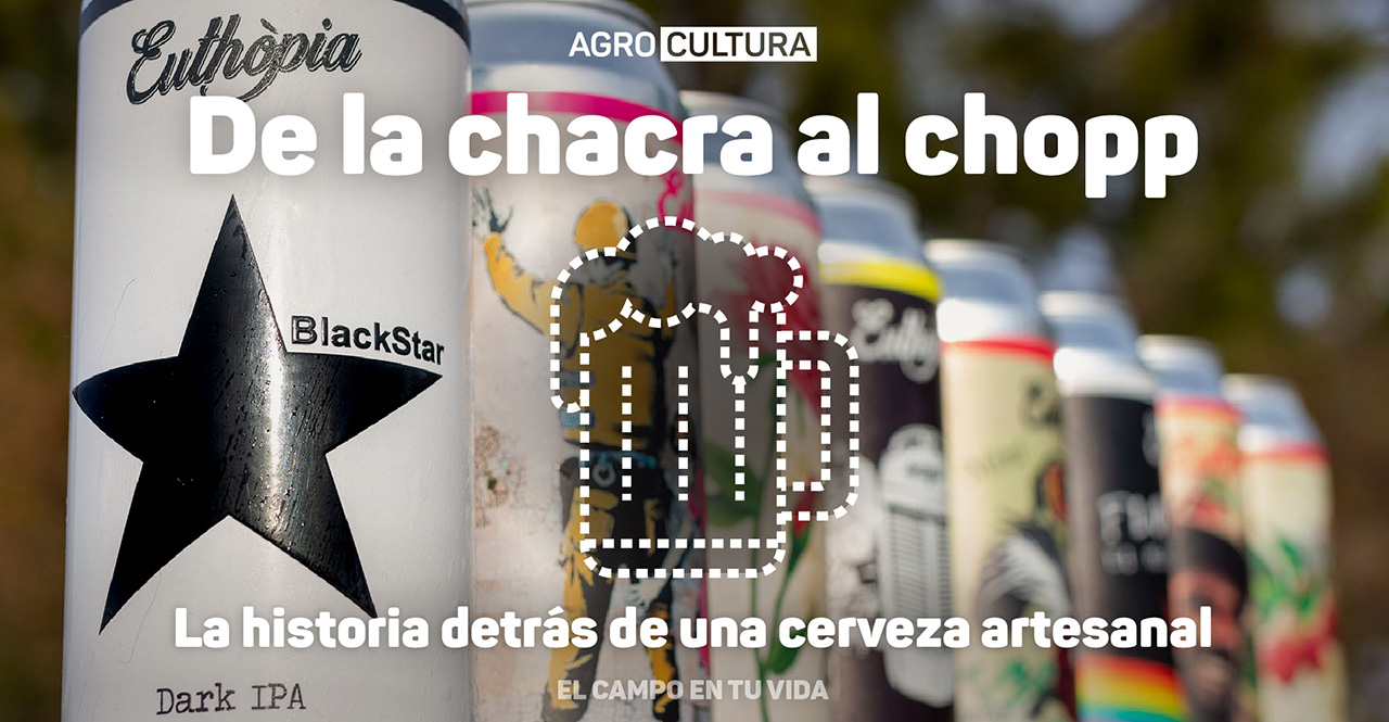 de la chacra a la copa: la historia detrás de cerveza euthopia el campo en tu vida agrocultura caminos y sabores