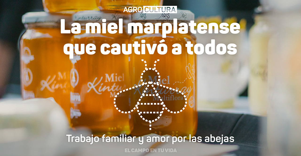 El valor de la miel argentina: tradición, calidad y compromiso familiar el campo en tu vida agrocultura