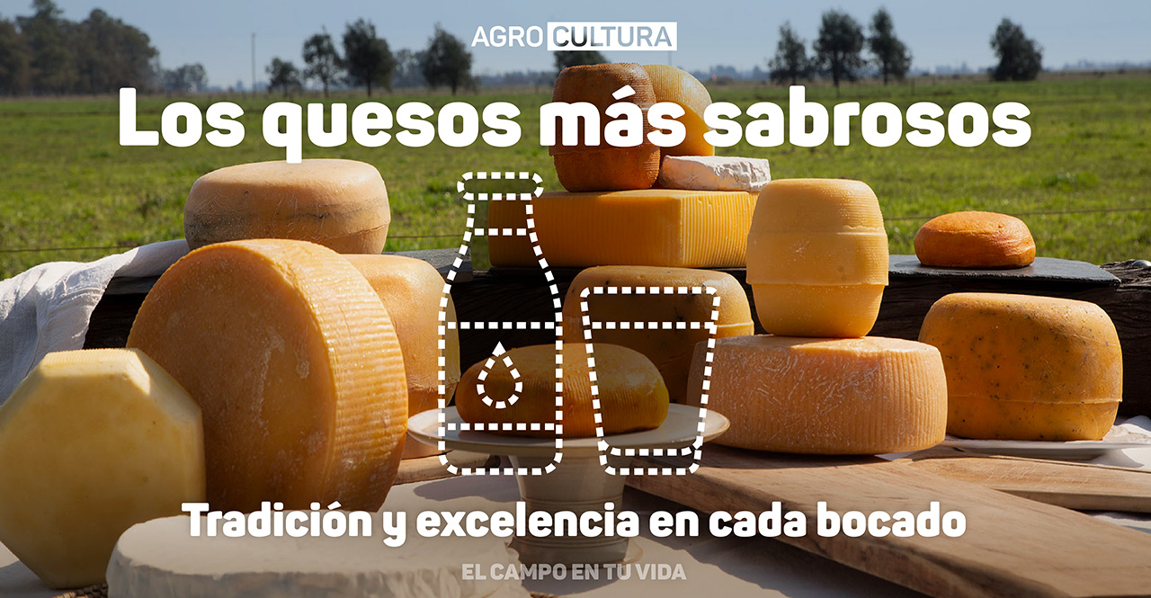 quesos fermier tradición y excelencia en cada bocado el campo en tu vida agrocultura