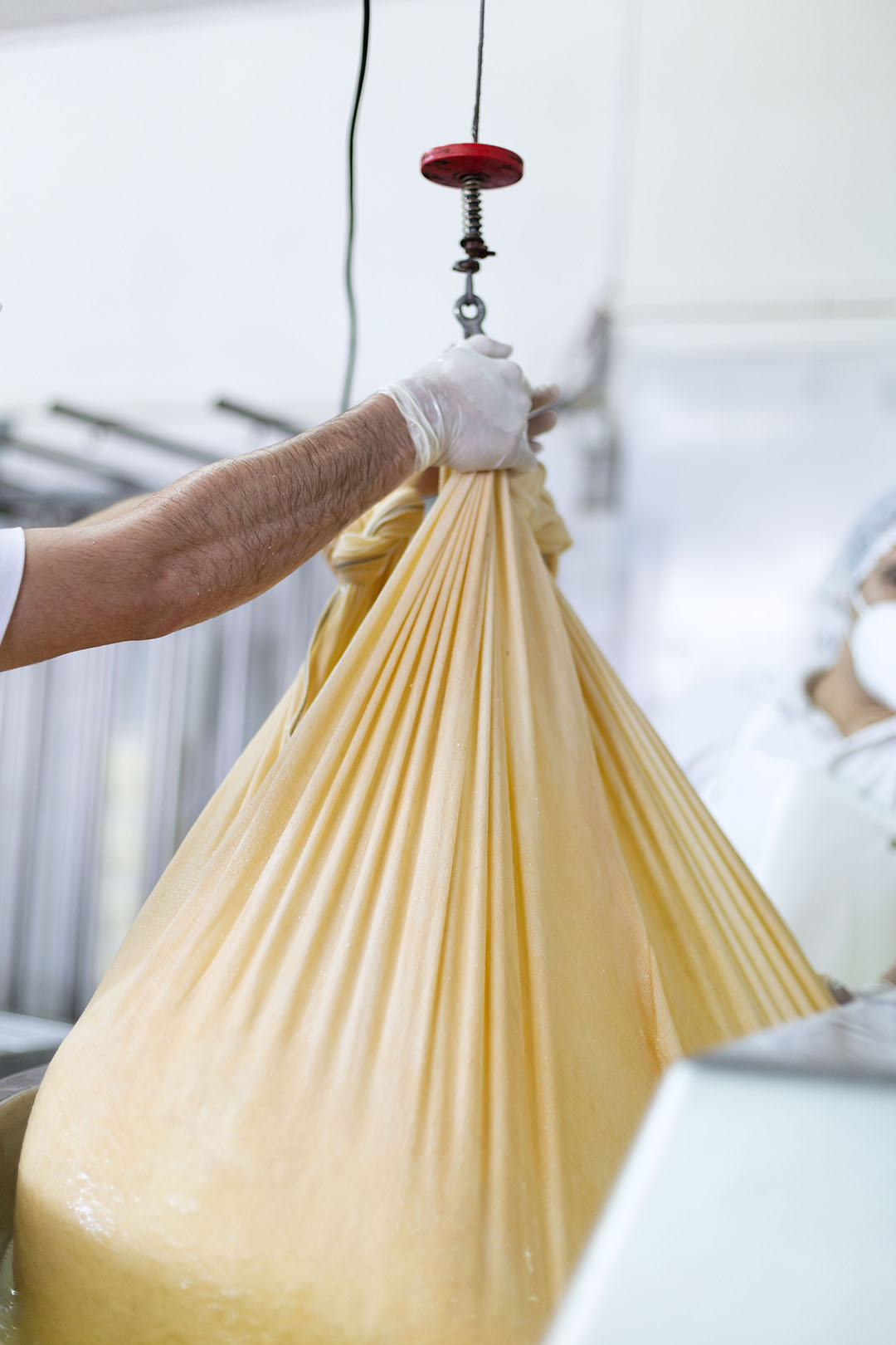 quesos fermier tradición y excelencia en cada bocado el campo en tu vida agrocultura